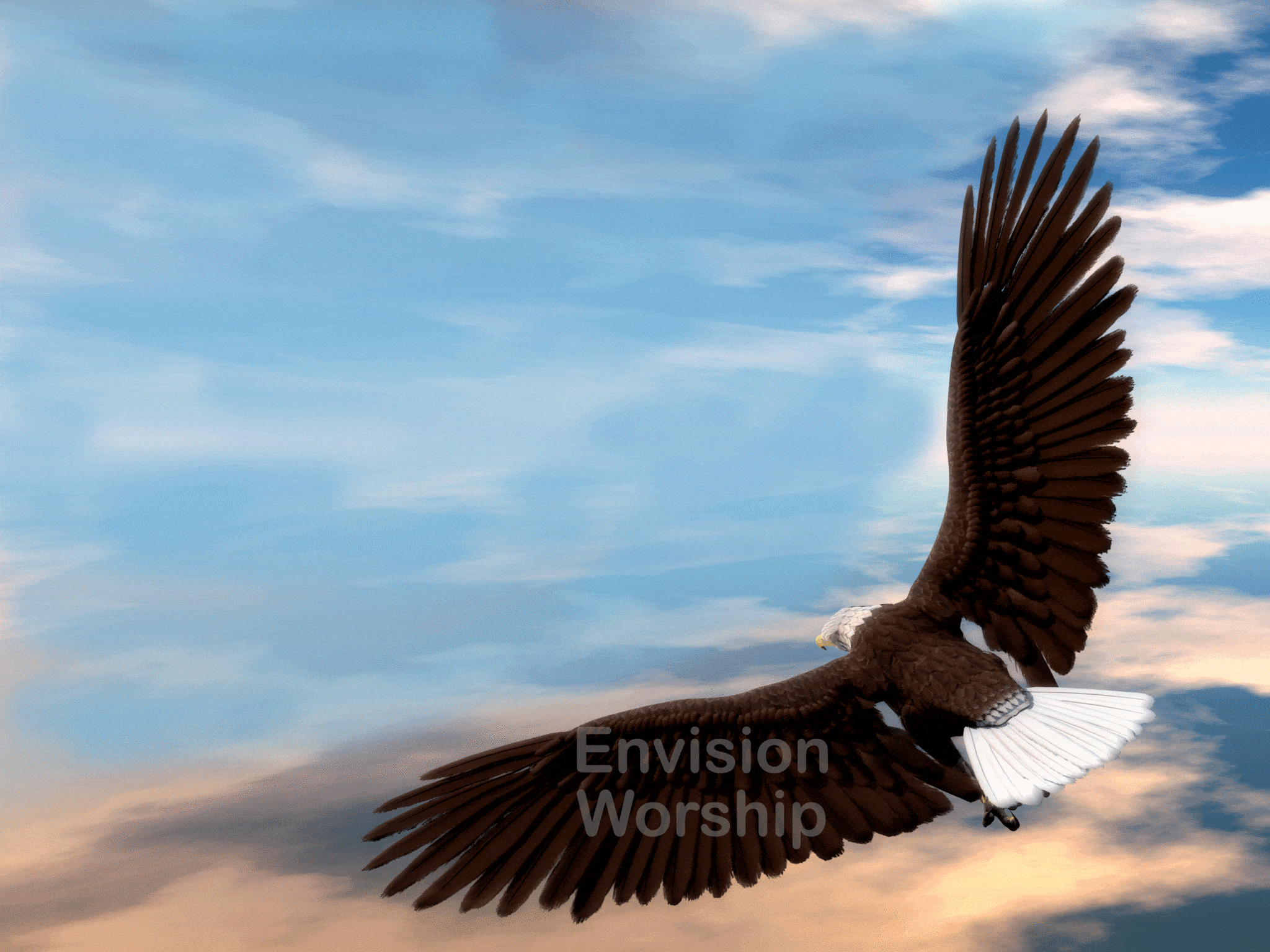 Rejuvenates like eagles - Misión Paz